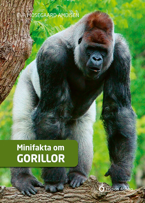 Minifakta Om Gorillor - 9789180779982 | Nypon & Vilja